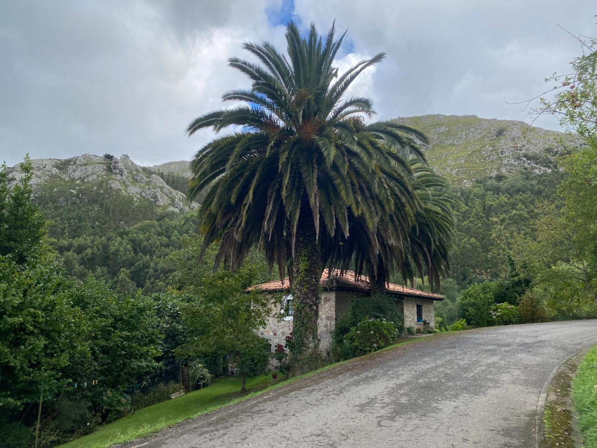 Casa Estilo Rural Con Jardin Entre Playa Y Montana Villa Caravia Exterior foto